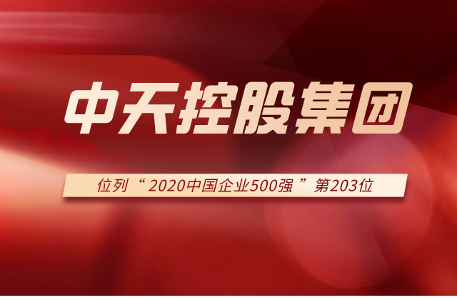 星空电子集团列2020中国企业500强第203位！