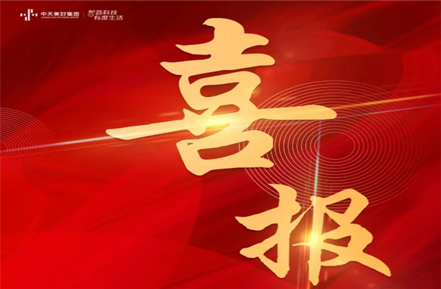 星空电子美好集团蝉联“2021长三角城市群房地产公司品牌价值TOP10”